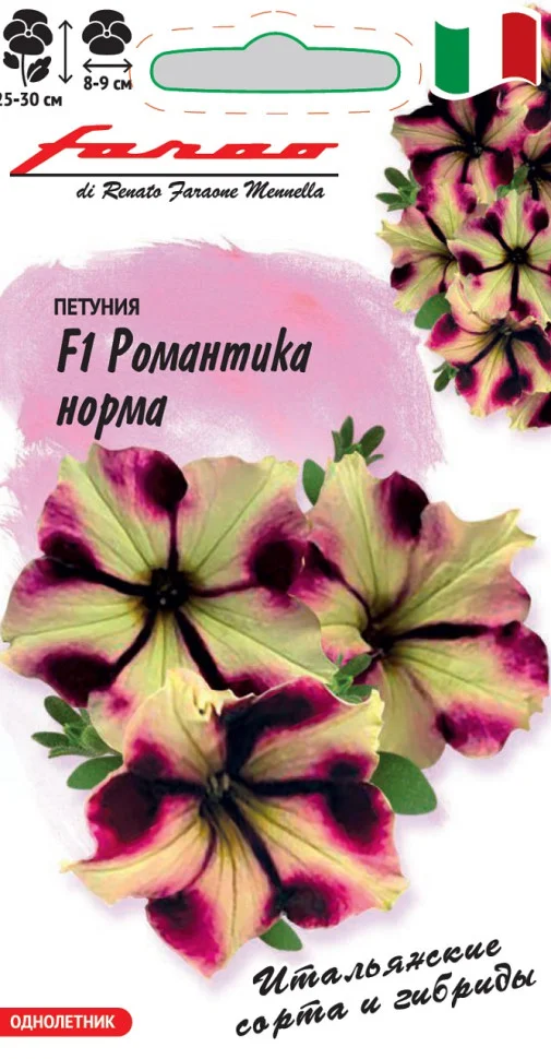 Миниатюра изображения сорта Романтика Норма