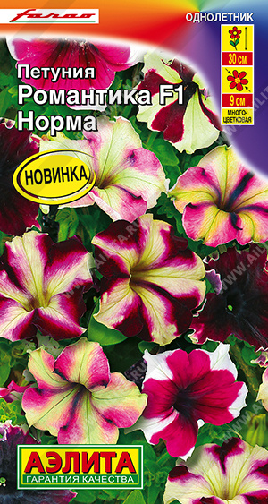 Романтика Норма