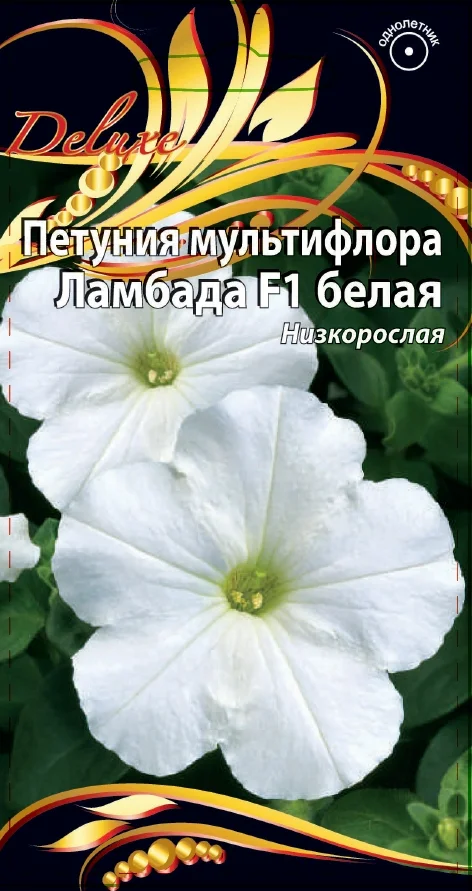 Ламбада белая