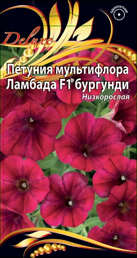 Ламбада бургунди