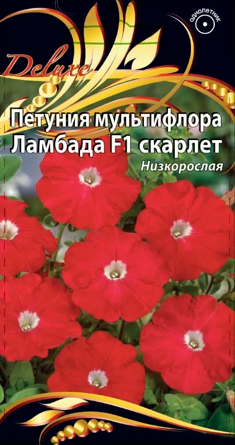 Ламбада Скарлет