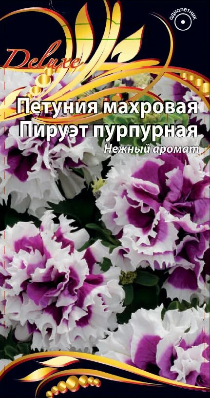 Пируэт пурпурная