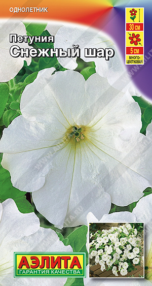 Снежный шар