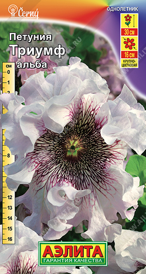 Триумф Альба