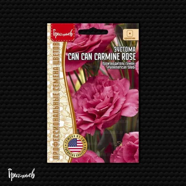 Can Can Carmine Rose