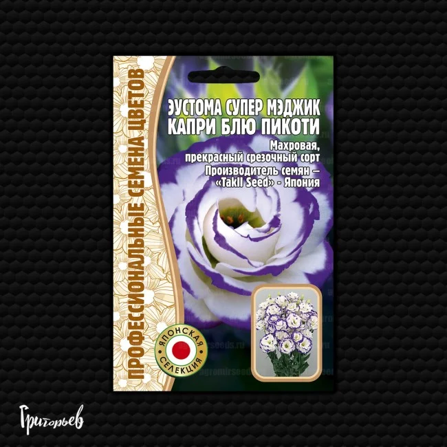 Super Magic Capri Blue Picotee