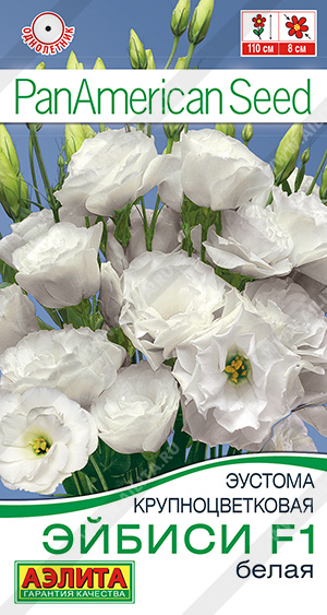 Эйбиси белая