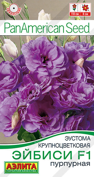 Эйбиси пурпурная
