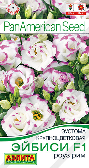 Эйбиси роуз рим