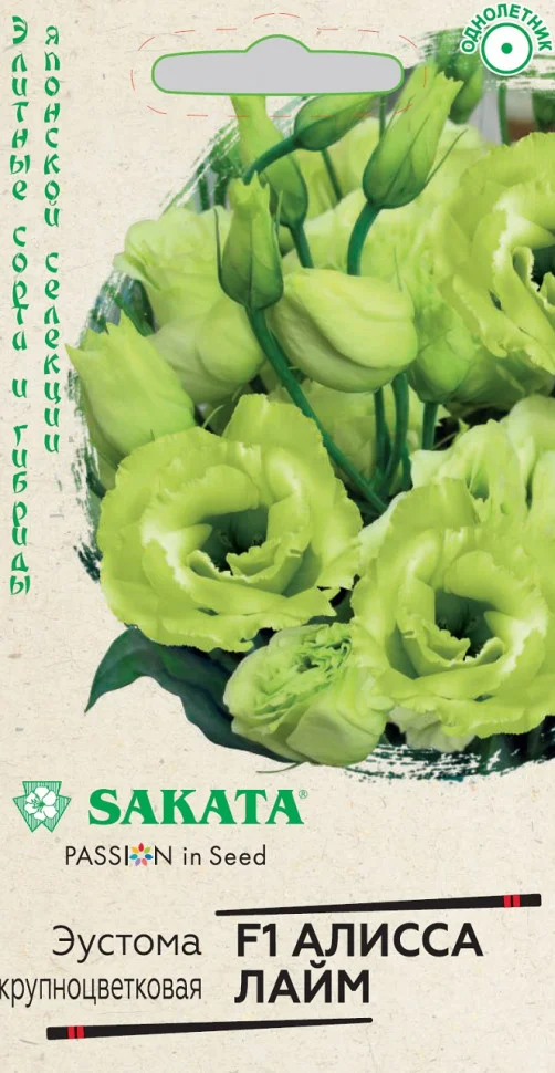 Алисса лайм