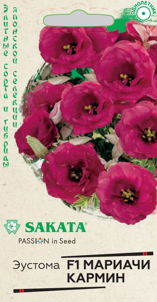 Мариачи кармин