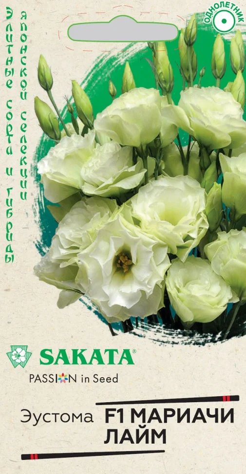 Мариачи лайм