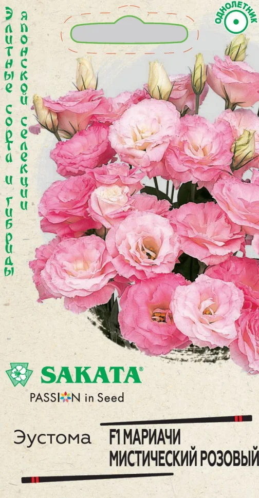 Мариачи мистический розовый