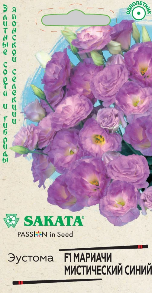 Мариачи мистический синий