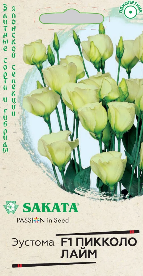 Пикколо Лайм