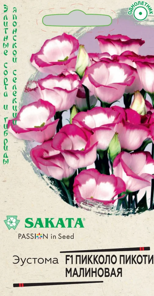 Пикколо Пикоти малиновая