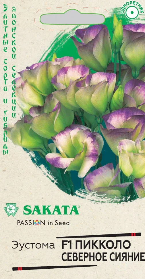 Пикколо Северное сияние