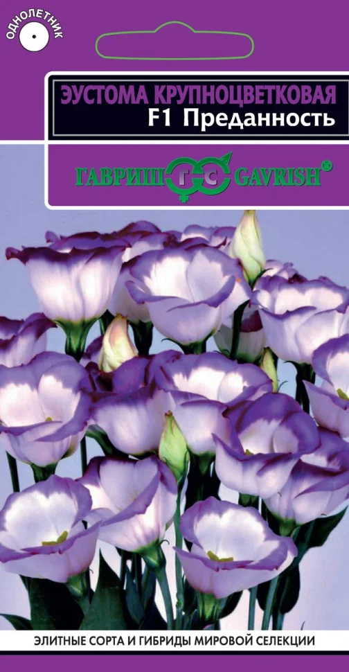 Преданность