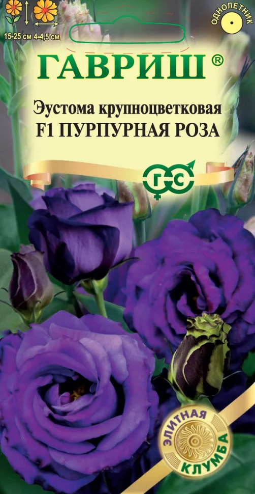 Пурпурная роза