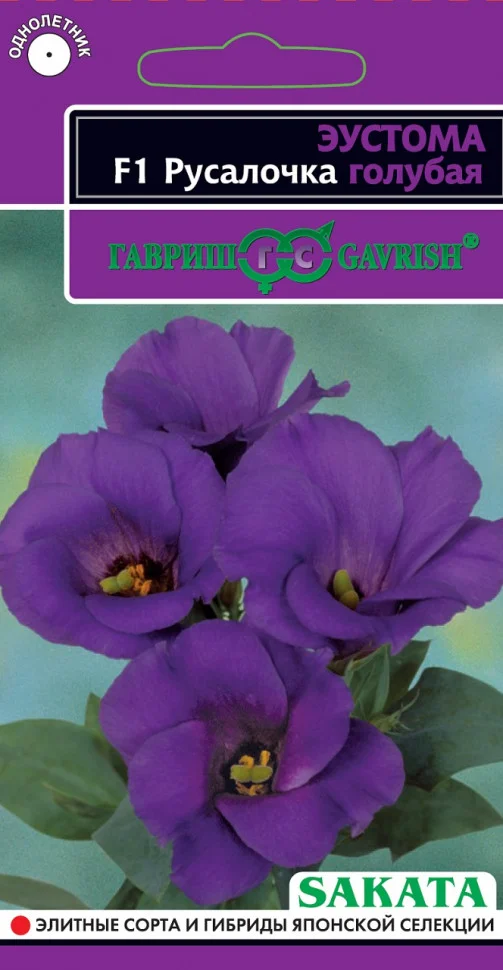 Русалочка голубая