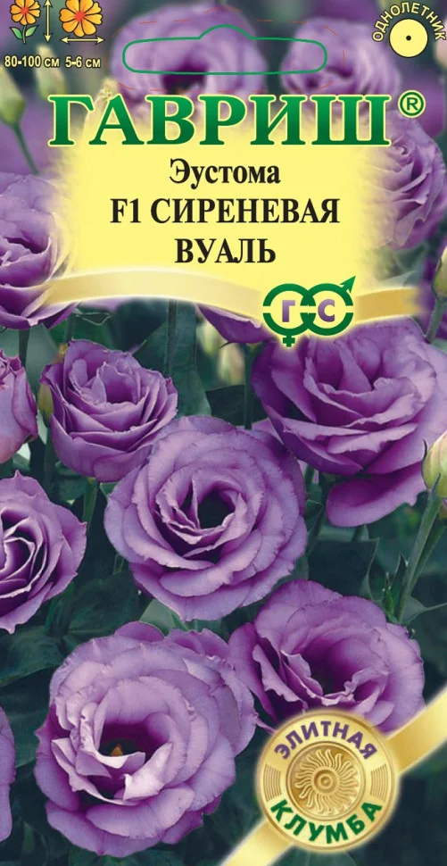 Сиреневая вуаль