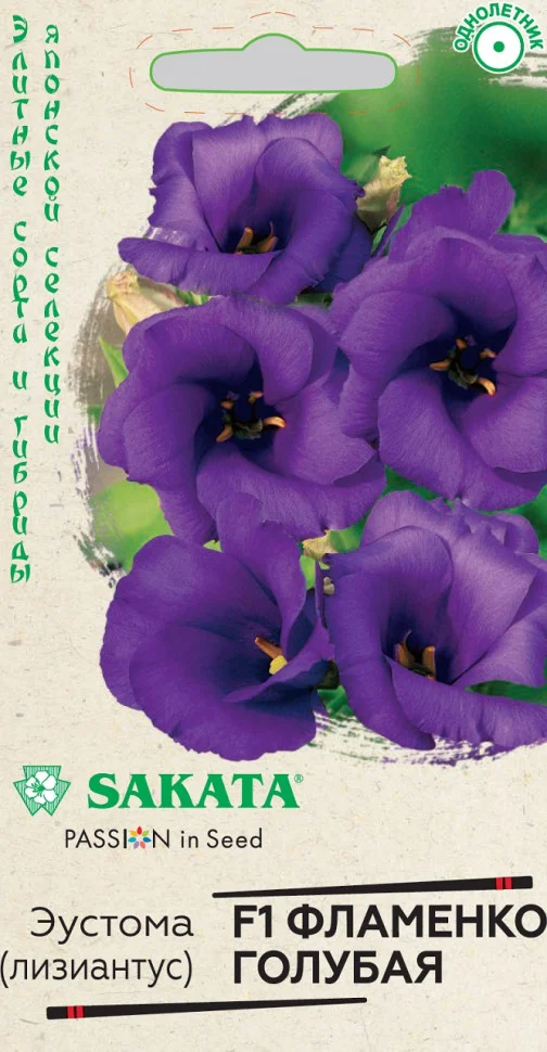 Фламенко голубая