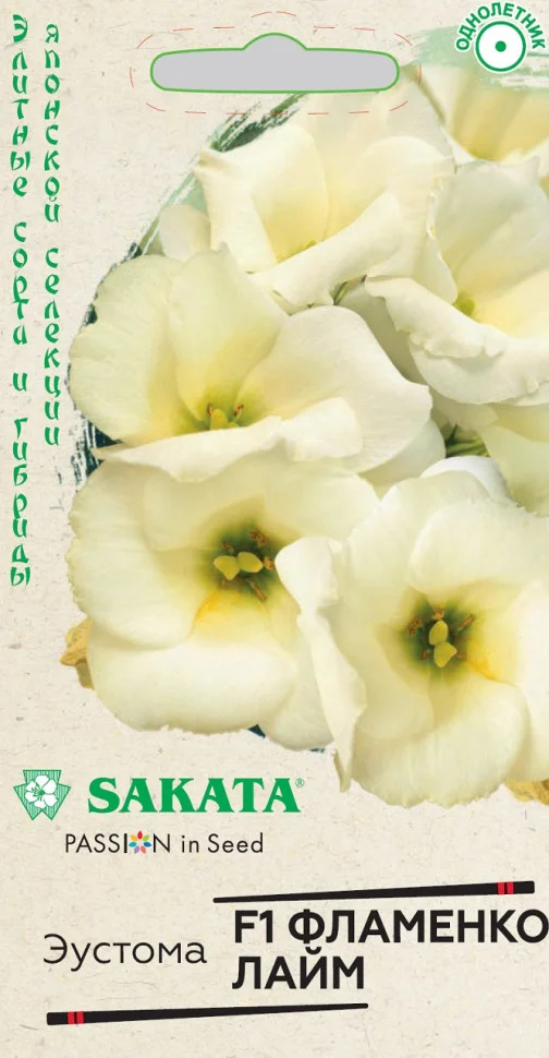 Фламенко лайм