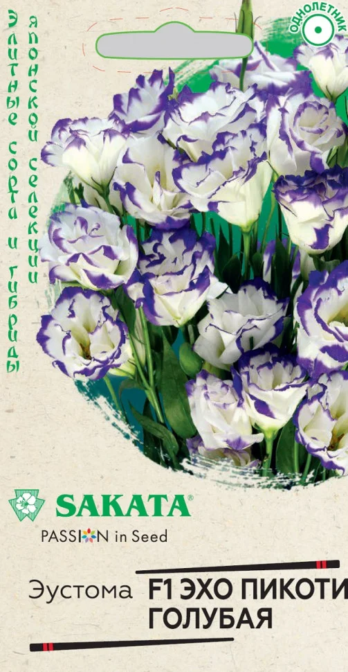 Эхо Пикоти голубая