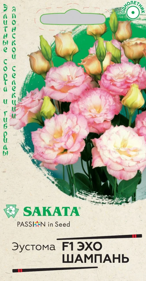 Эхо Шампань