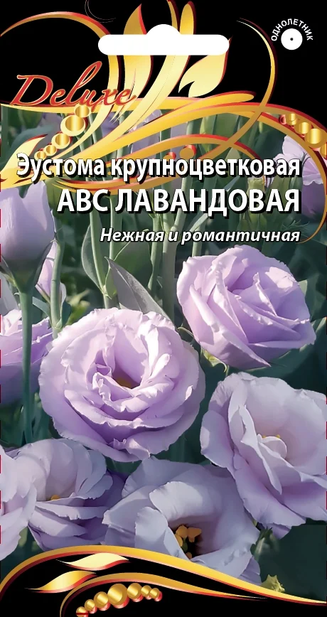 АВС Лавандовая