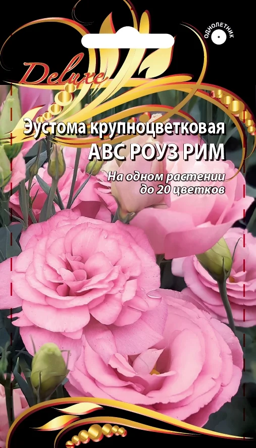 АВС Роуз Рим