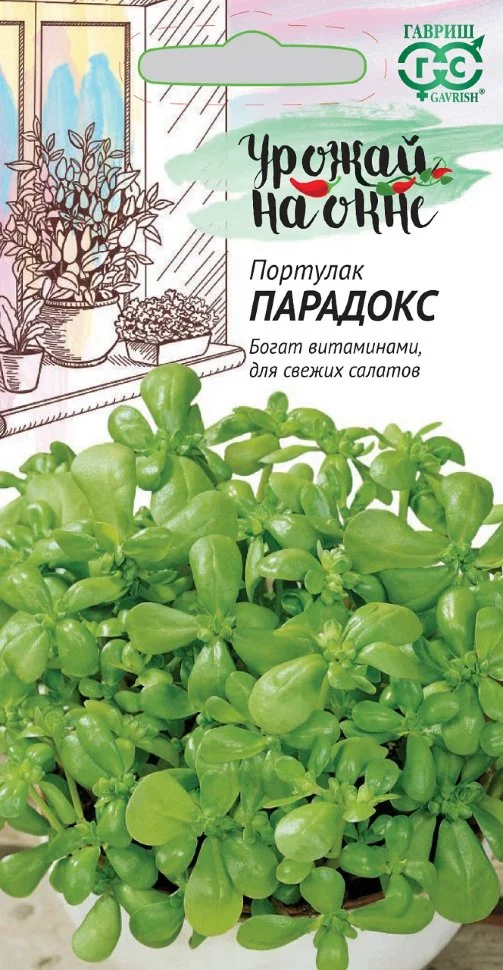 Миниатюра изображения сорта Парадокс 