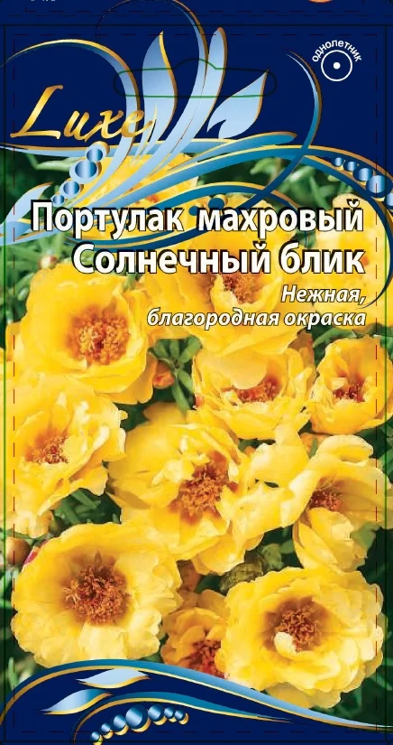 Миниатюра изображения сорта Солнечный блик 