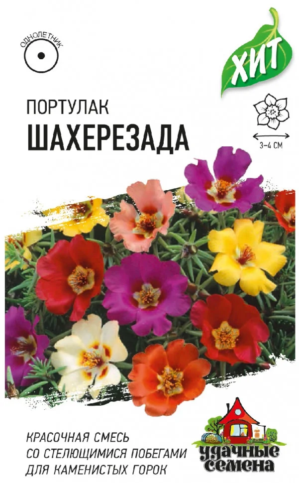 Шахерезада смесь 