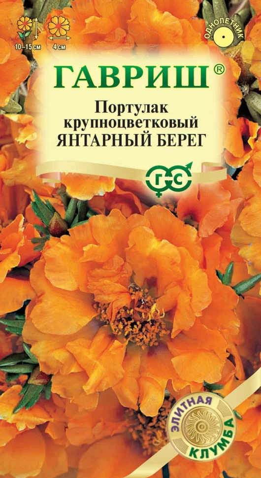 Янтарный берег