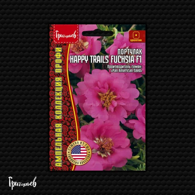 Happy Trails Fuchsia