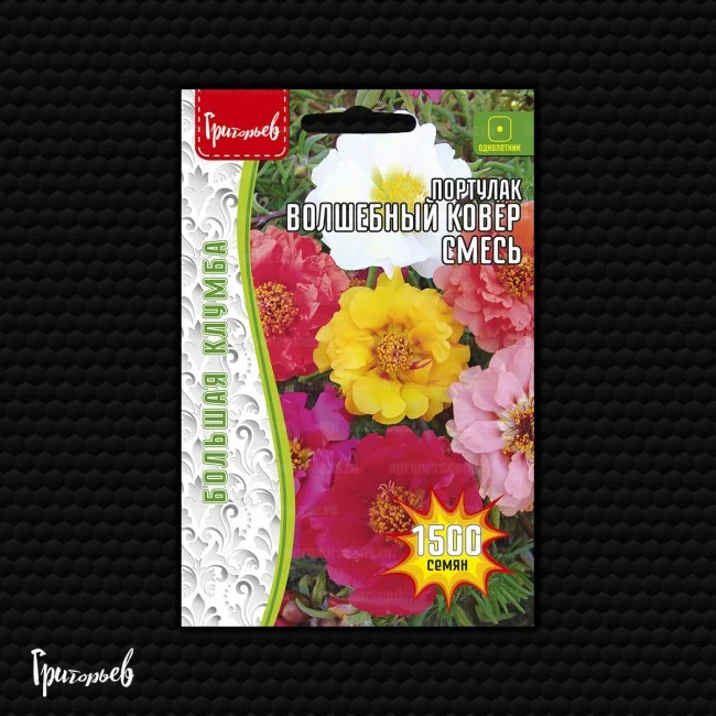 Волшебный Ковер 