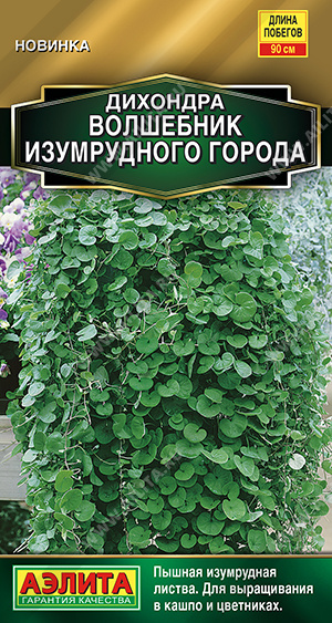 Волшебник Изумрудного города