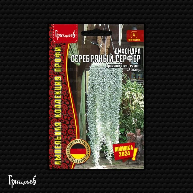 Серебряный Сёрфер