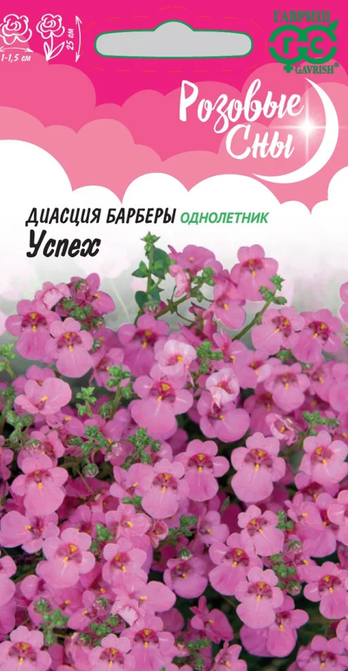 Барбера Успех