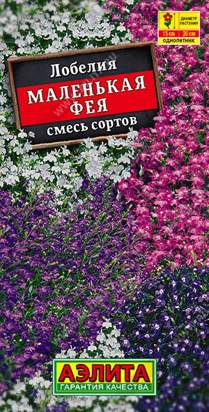 Маленькая фея