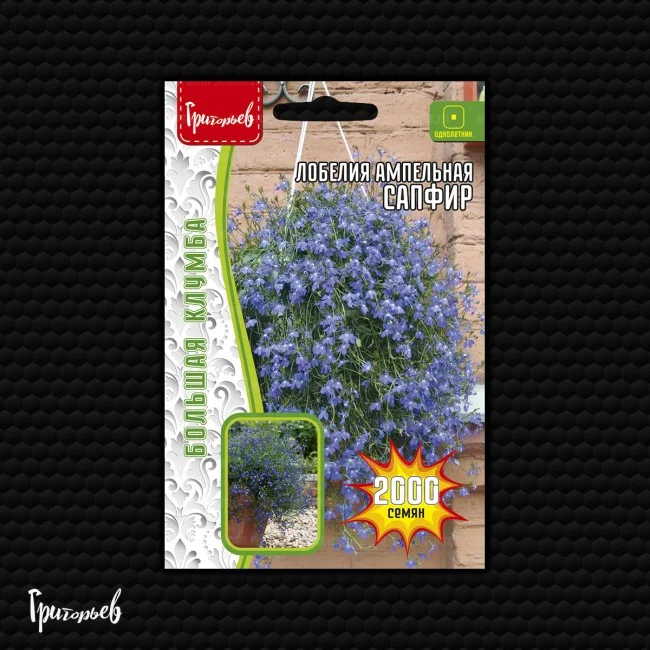 Миниатюра изображения сорта Сапфир