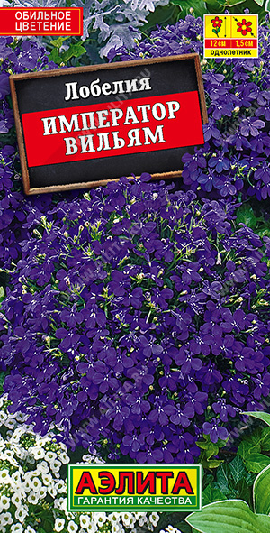 Император Вилли