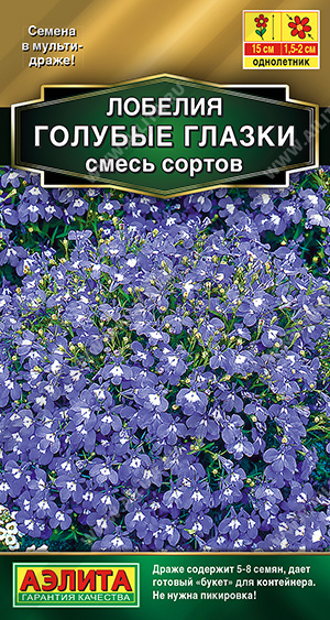 Голубые глазки