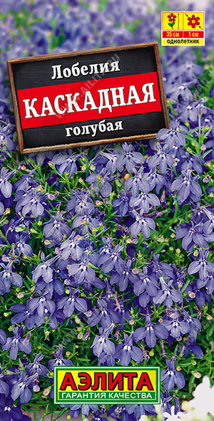 каскадная голубая