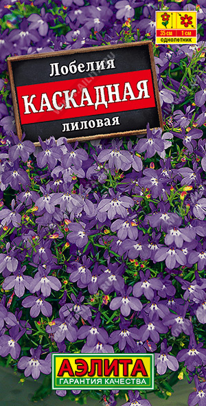 каскадная лиловая