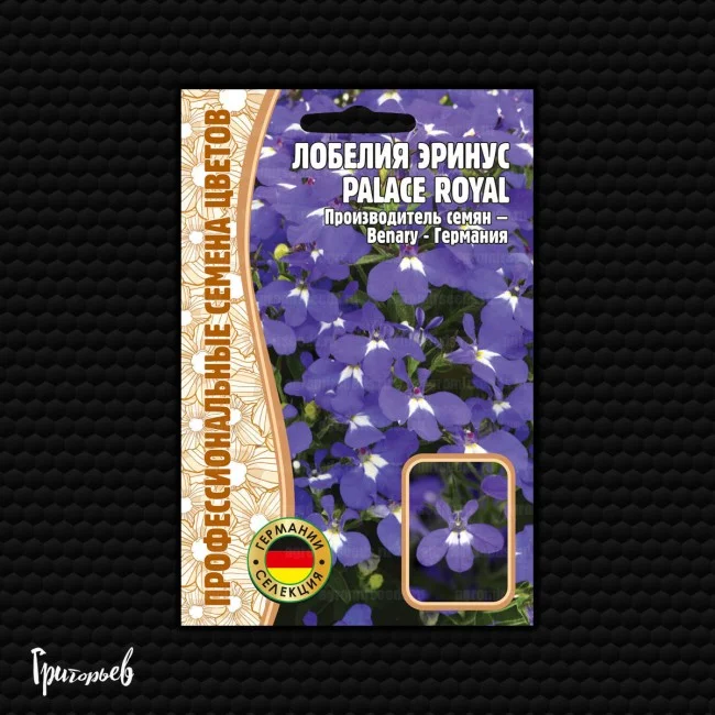 Palace Royal эринус