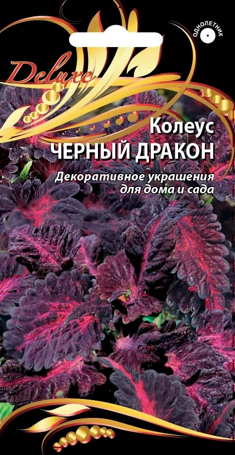 Черный Дракон (Блэк Дракон)