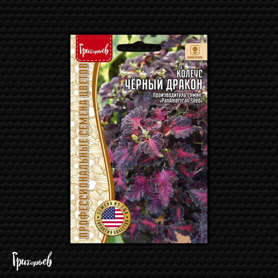 Чёрный Дракон