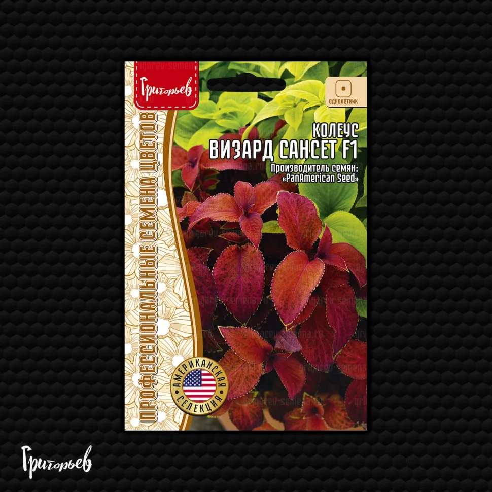 Визард Сансет